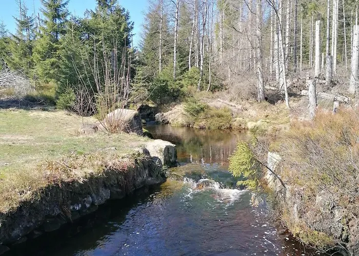 Waldfee